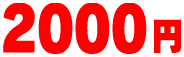 �ʐ^���X�e�Ŕ�2500�~