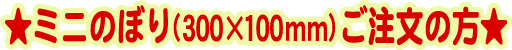 ���~�j�̂ڂ�(300�~100mm)�������̕���